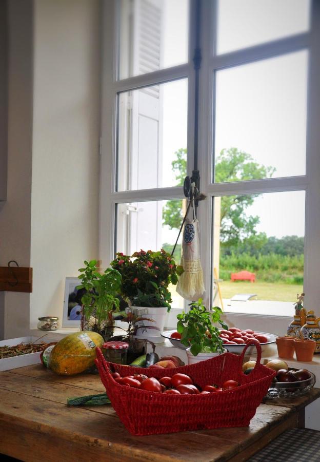 Manoir La Rumillette Saint-Michel-sur-Loire 외부 사진